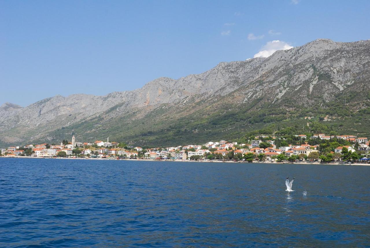 Apartments Vesna Gradac  Exteriér fotografie